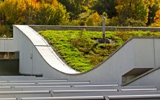 The roof pitch of up to 10° is very easy to see in profile. © Danil Kolodin / Tim Flynn architects Pitched green roof